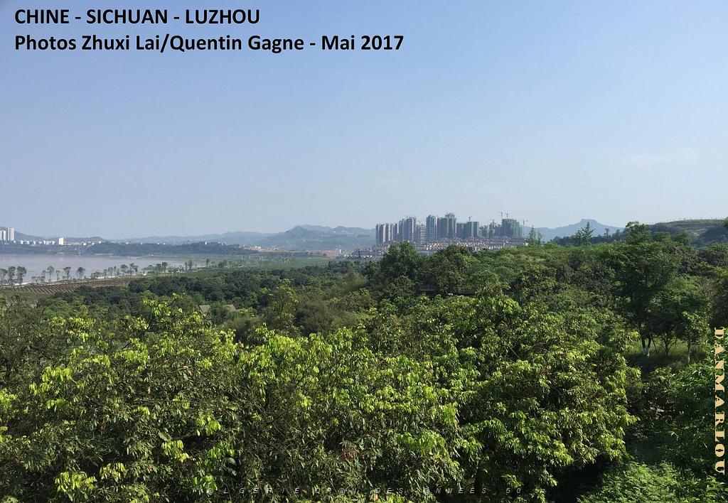 Luzhou 182.JPG